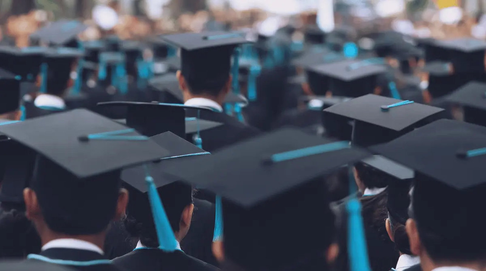 BBA in Business Management program Modules